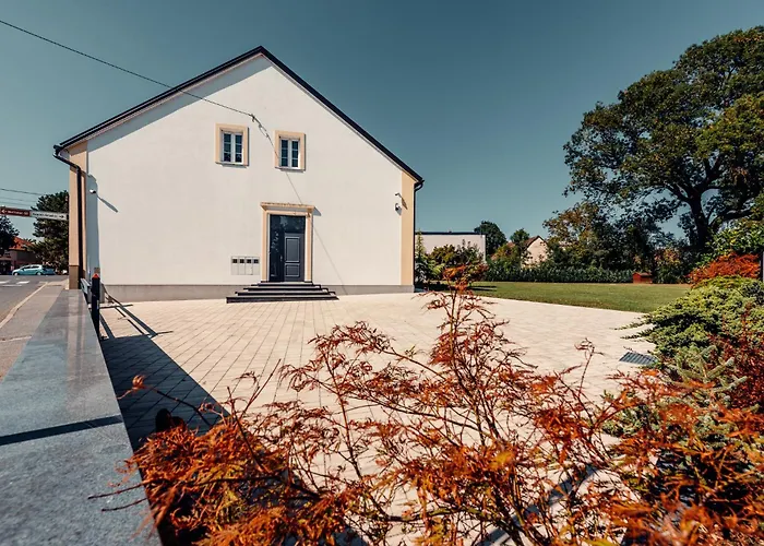 Studio Apartmani Albero
